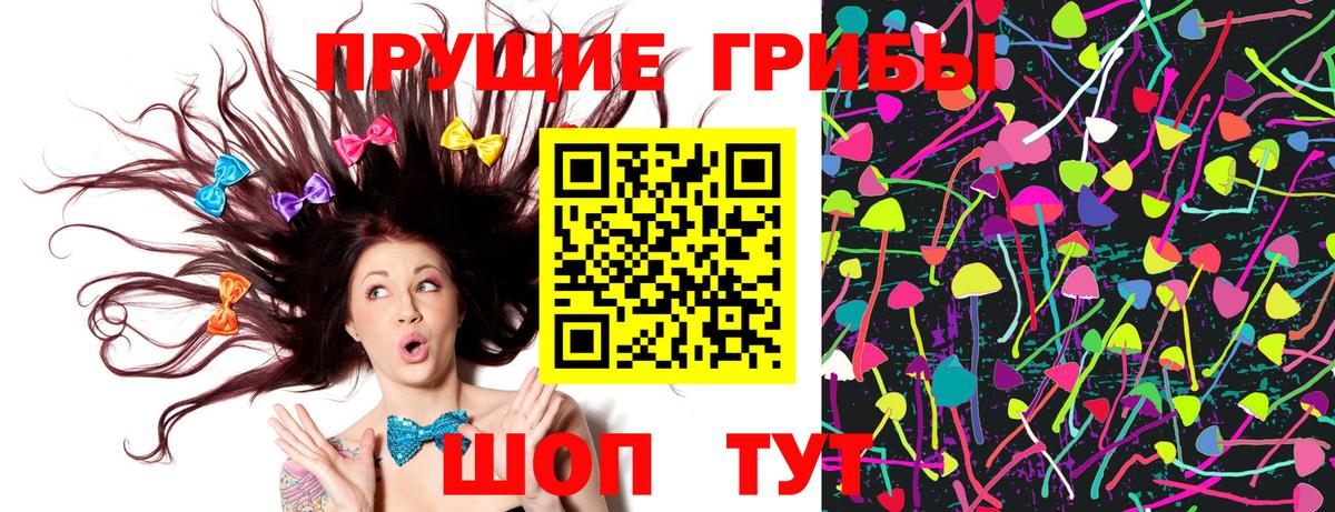 Шебекино  где купить наркоту  Вход с VPN  Галлюциногенные грибы Magic Shrooms 