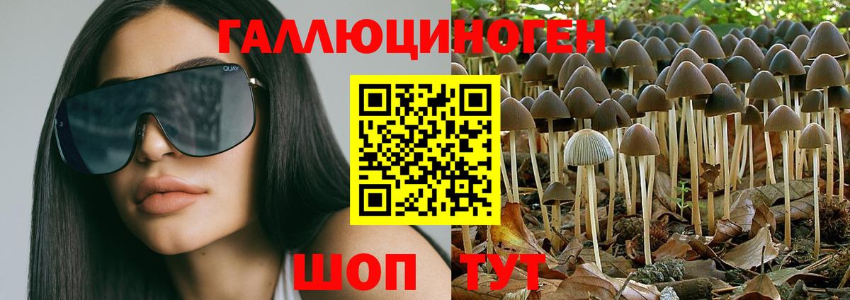 Галлюциногенные грибы мицелий Шебекино