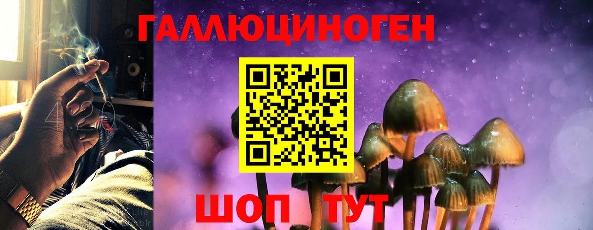 Галлюциногенные грибы прущие грибы  Шебекино 